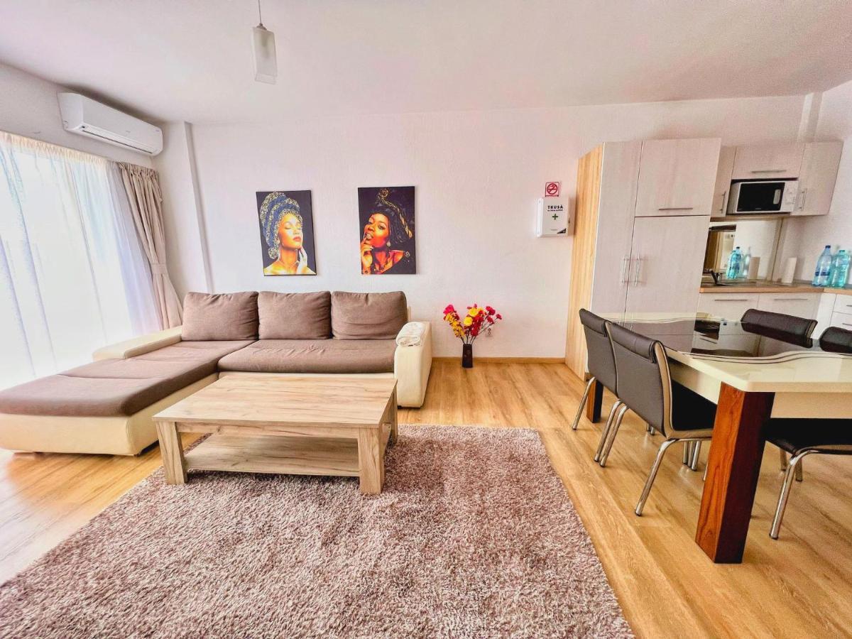 Business Apartments Cluj-Napoca Extérieur photo